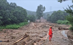 Nông dân Hàn Quốc lao đao vì mưa lũ kỷ lục