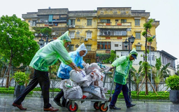 Hà Nội chủ động ứng phó với bão số 3