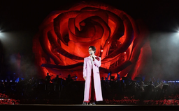 Hà Anh Tuấn mang concert ‘Sketch A Rose’ đến Mỹ