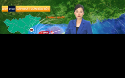Dự báo thời tiết sáng | 22/07/2025