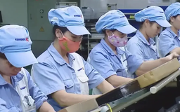 Doanh nghiệp chủ động chuyển đổi xanh, giảm phát thải