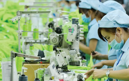 Doanh nghiệp Việt tích cực chuyển đổi xanh