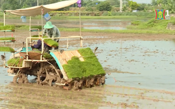 Trưởng thôn tận tâm xây dựng nông thôn mới | Người tốt quanh ta | 24/07/2025