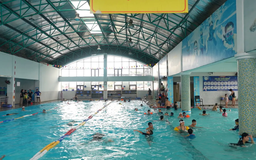 Làm việc ở bể bơi ngày hè | Nhịp sống Hà Nội | 24/07/2025