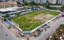 Nhiều thửa đất bị bỏ hoang tại phường Hà Đông