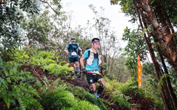 Hành trình trở thành huấn luyện viên chạy trail