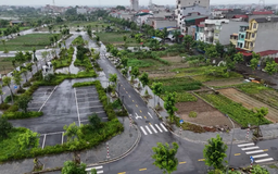 Bố trí tái định cư cho dự án cầu Tứ Liên