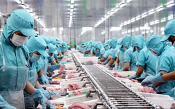 Duy trì tăng trưởng xuất khẩu nửa cuối năm 2025