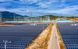 Điện mặt trời Trung Nam Thuận Nam báo lãi gần 140 tỷ đồng