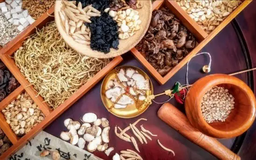 Hậu quả khi tự ý dùng thuốc Đông y