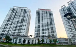 Thu thuế trên lãi từng lần chuyển nhượng bất động sản