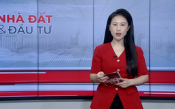 Bản tin Nhà đất và đầu tư | 29/07/2025