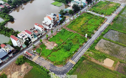 Nhiều khu đất đấu giá vẫn đang để hoang