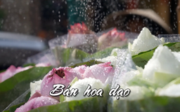 Bán hoa dạo | Nhịp sống Hà Nội | 29/07/2025