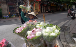 Bán hoa dạo