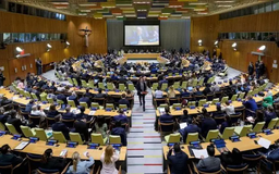 Khai mạc hội nghị quốc tế về xung đột Israel - Palestine