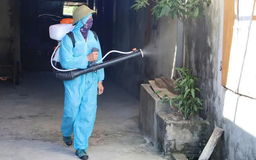 Hà Nội hiện còn 7 ổ dịch sốt xuất huyết