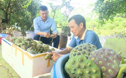 Giúp nhau làm giàu | Người tốt quanh ta | 03/07/2025