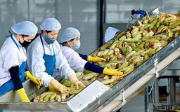 Doanh nghiệp Việt sẵn sàng ứng phó tác động thuế quan Mỹ