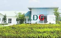 LDG giải trình việc cổ phiếu tăng nóng