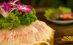 Gỏi cá dầm xanh | Món ngon ở Hà Thành | 05/11/2025