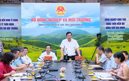 Xuất khẩu nông sản đi EU được gỡ vướng mắc