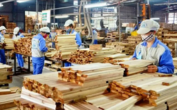 Mỹ chi 4,6 tỷ USD nhập gỗ Việt trong nửa năm