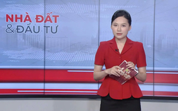 Bản tin Nhà đất và đầu tư | 30/07/2025