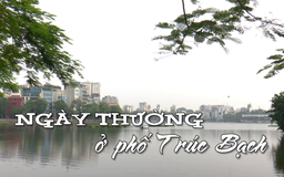 Ngày thường ở phố Trúc Bạch | Nhịp sống Hà Nội | 30/07/2025