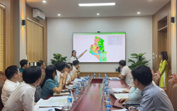 Xã Tam Hưng chủ động hợp tác phát triển đô thị xanh