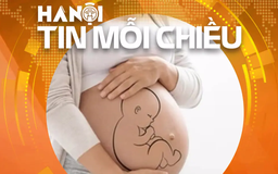 Phụ nữ độc thân có quyền sinh con bằng IVF | Hà Nội tin mỗi chiều