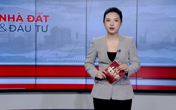 Bản tin Nhà đất và đầu tư | 31/07/2025