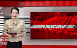 Bản tin 141 | 31/07/2025