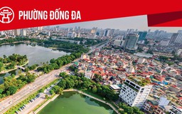 Phường Đống Đa: Tất cả thông tin chỉ dẫn bạn cần biết