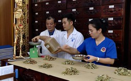Hướng dẫn thanh toán BHYT thuốc y học cổ truyền, dược liệu