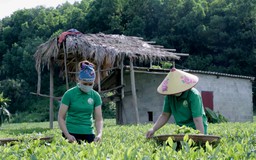 Doanh nghiệp nhỏ và vừa loay hoay với chuyển đổi kép