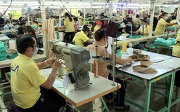 Tín hiệu tích cực từ kinh tế tư nhân
