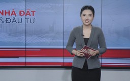 Bản tin Nhà đất và đầu tư | 05/07/2025