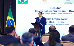 Thủ tướng dự Tọa đàm doanh nghiệp Việt Nam - Brazil