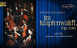 Im Krapfenwald’l, Op. 336