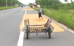 Mất an toàn giao thông vì thói quen phơi nông sản trên đường