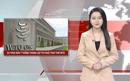 EU thúc đẩy ý tưởng thành lập tổ chức thay thế WTO | Nhìn ra thế giới | 06/07/2025