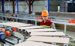 Thu nhập bình quân của lao động quý II/2025 giảm