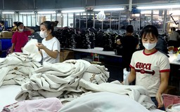 Nhiều doanh nghiệp Argentina muốn đầu tư vào Việt Nam