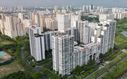 Chung cư thứ cấp TP. Hồ Chí Minh bị thổi giá