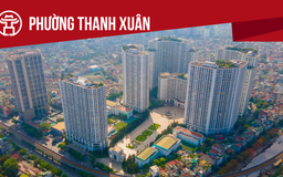 Phường Thanh Xuân: Tất cả thông tin và thủ tục cần biết