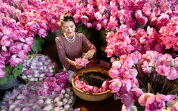 Hà Nội lần đầu tổ chức Festival Làng nghề quốc tế 2025