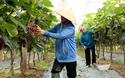 Người cao tuổi chung tay chuyển đổi xanh