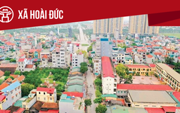 Xã Hoài Đức: Tất cả thông tin chỉ dẫn bạn cần biết