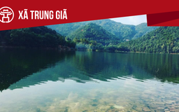 Xã Trung Giã: Tất cả thông tin chỉ dẫn bạn cần biết